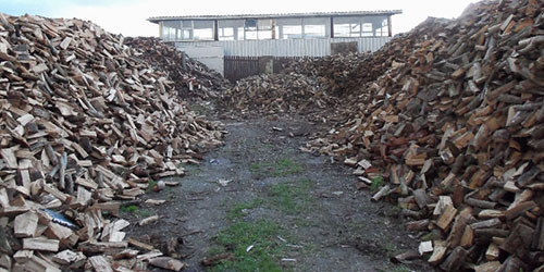 firewood in randburg